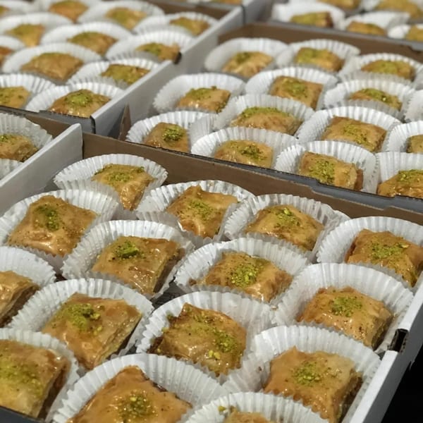 Rows of golden baklava squares with chopped pistachios in white paper cups, packed in boxes.